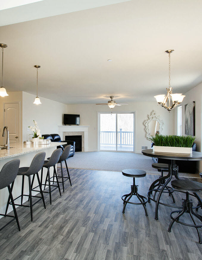 Kitchen and Living Room