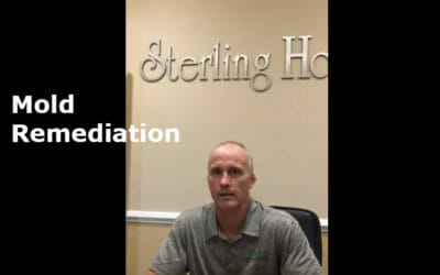 Eric Katz Explains Mold Remediation in Homes