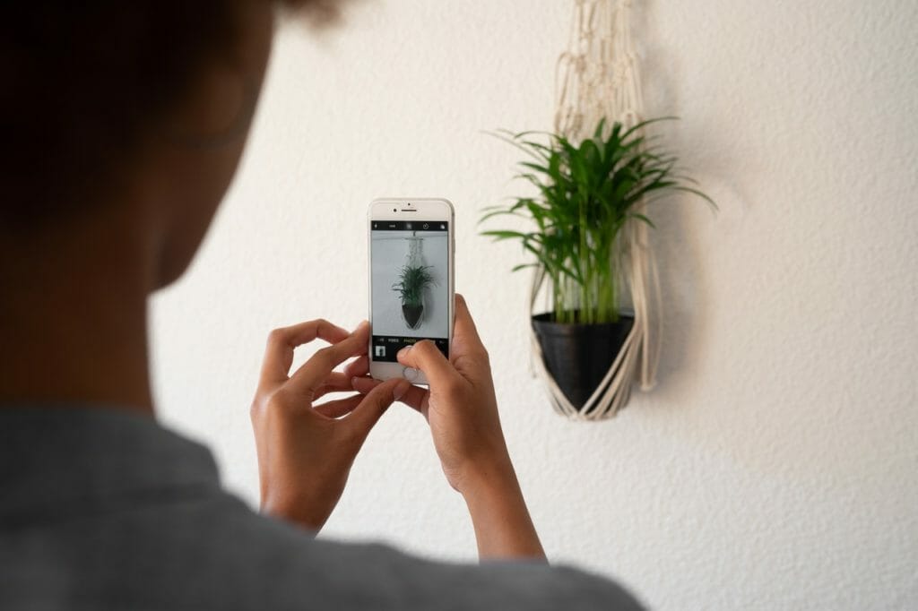 a person taking a photo of a potted plant