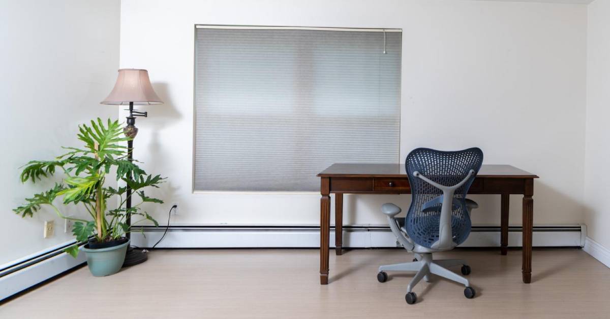 home office with plant