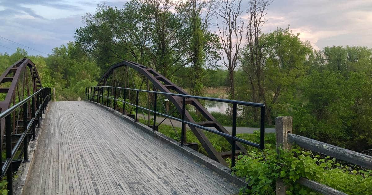 bridge into a nature area