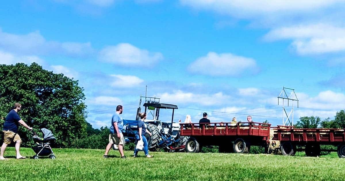 people and a hayride