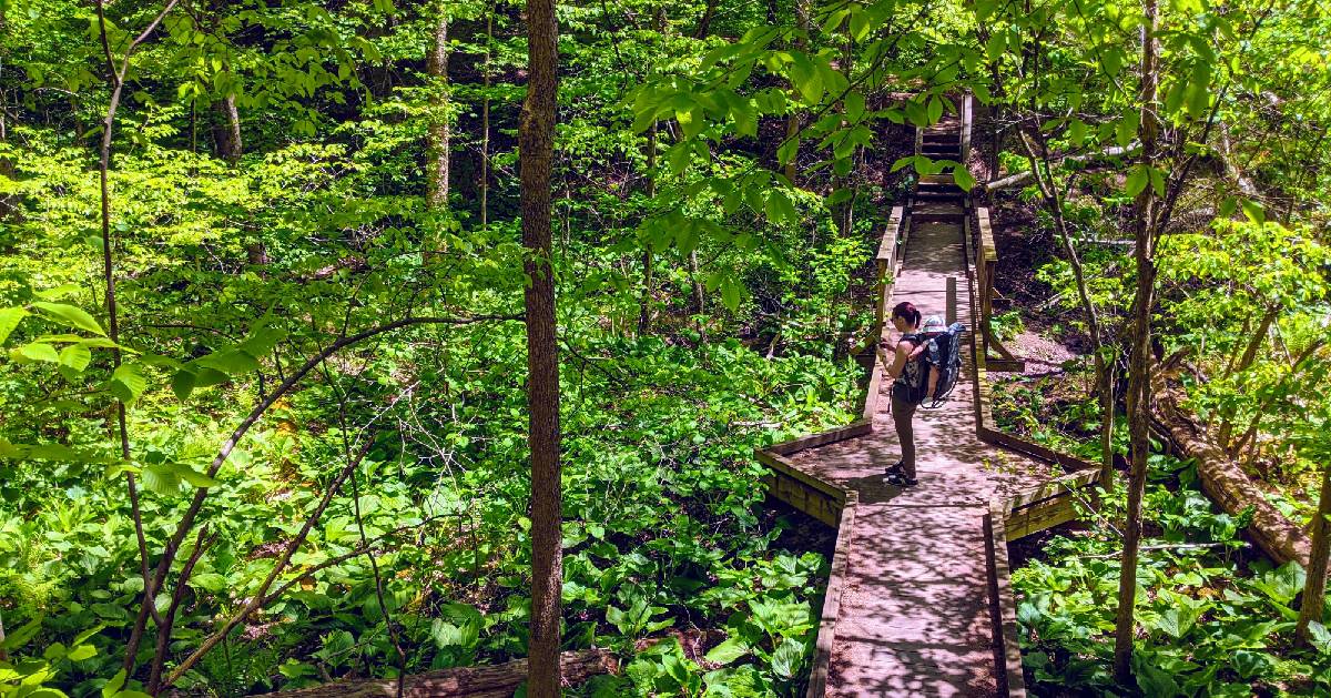 woman with infant in hiking carrier on wooden platform in woods